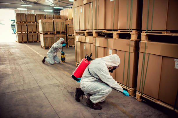 Best Mosquito Control Services  in Bolivar, MO