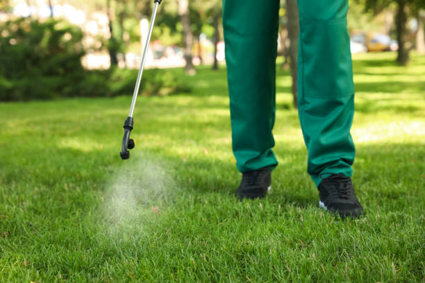 Best Pest Control for Homes  in Bolivar, MO