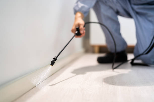 Flea Control Services in Bolivar, MO