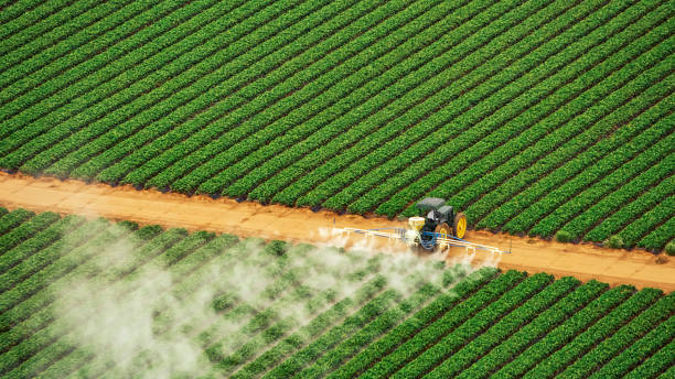 Best Local Pest Control Services  in Bolivar, MO
