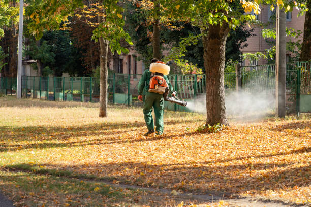Professional Pest Control in Bolivar, MO