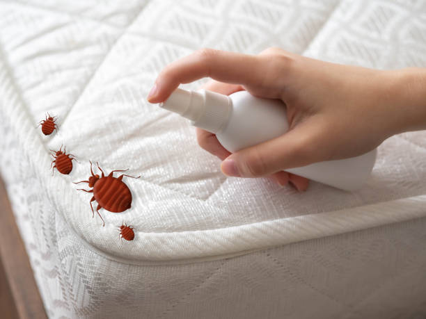 Best Best Pest Control Companies  in Bolivar, MO