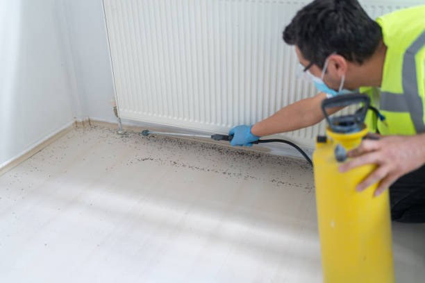 Best Cockroach Control Services  in Bolivar, MO