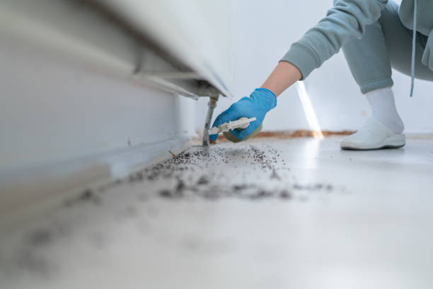 Best Affordable Pest Control Services  in Bolivar, MO