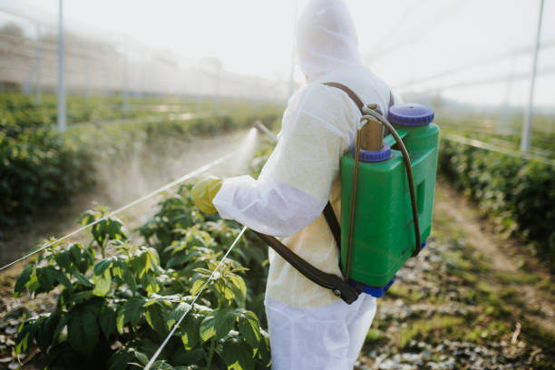 Best Affordable Pest Control Services  in Bolivar, MO